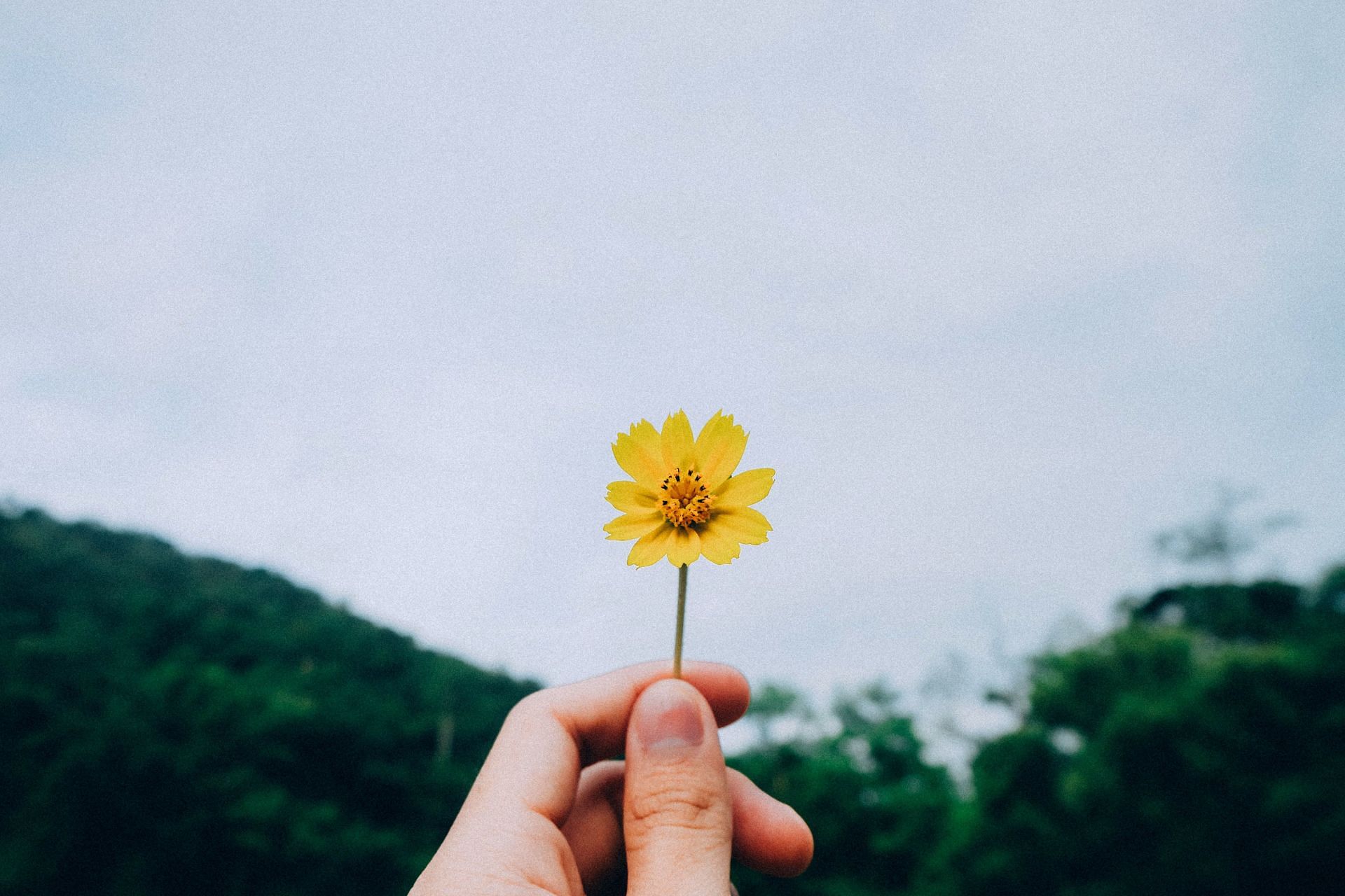 Holistic lifestyle (Image via Unsplash/Kawin Harasai)